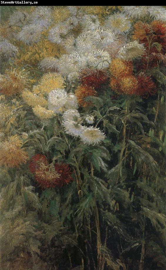 Gustave Caillebotte The chrysanthemum in the garden